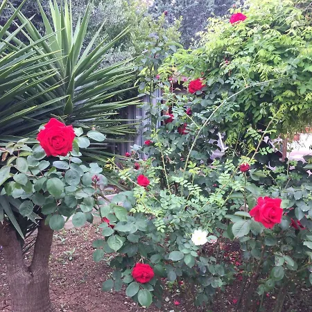 بيت ضيافة Il Giardino Della Foglia