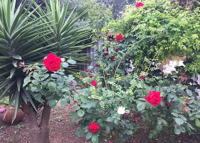 Affittacamere Il Giardino Della Foglia